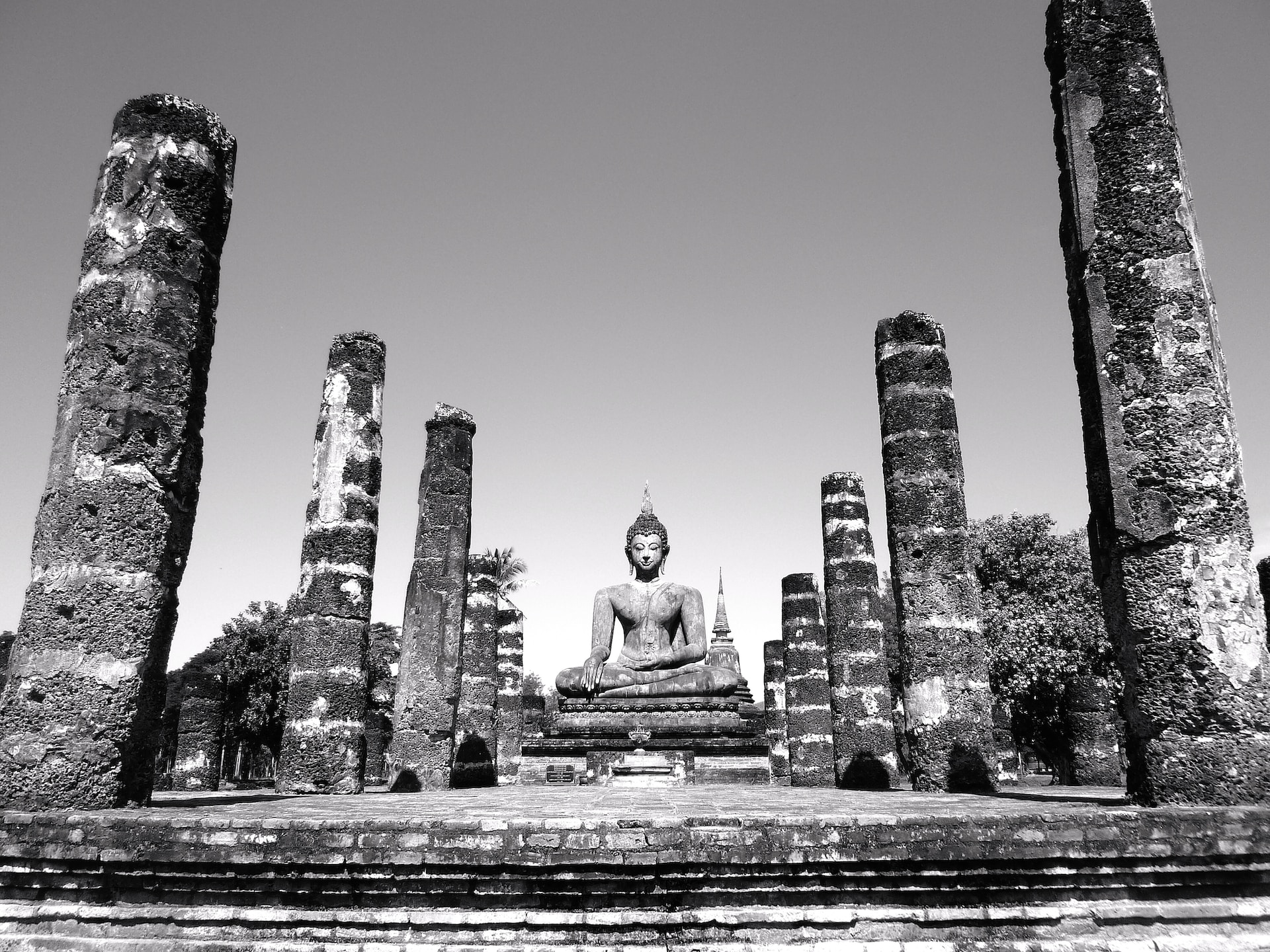 buddha