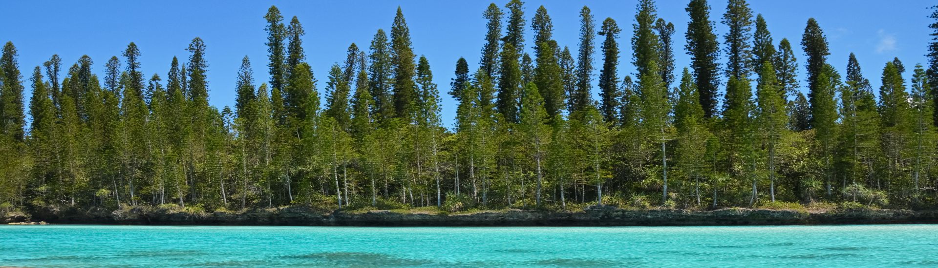 Nuova Caledonia