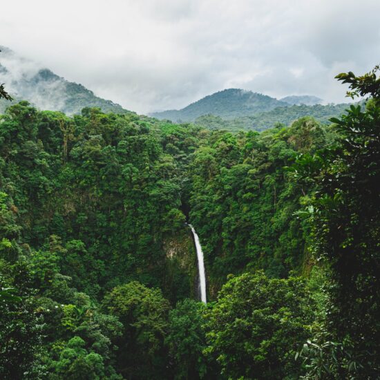 costarica natura