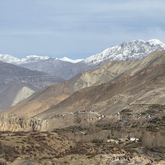 lower mustang