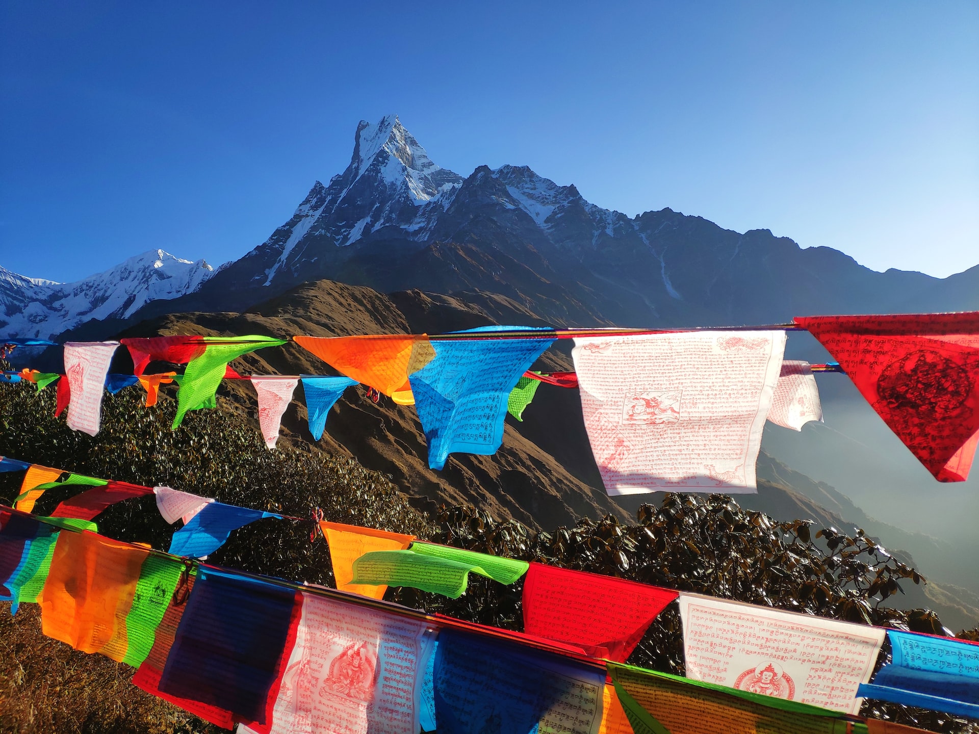 bandiere nepal