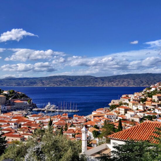 hydra