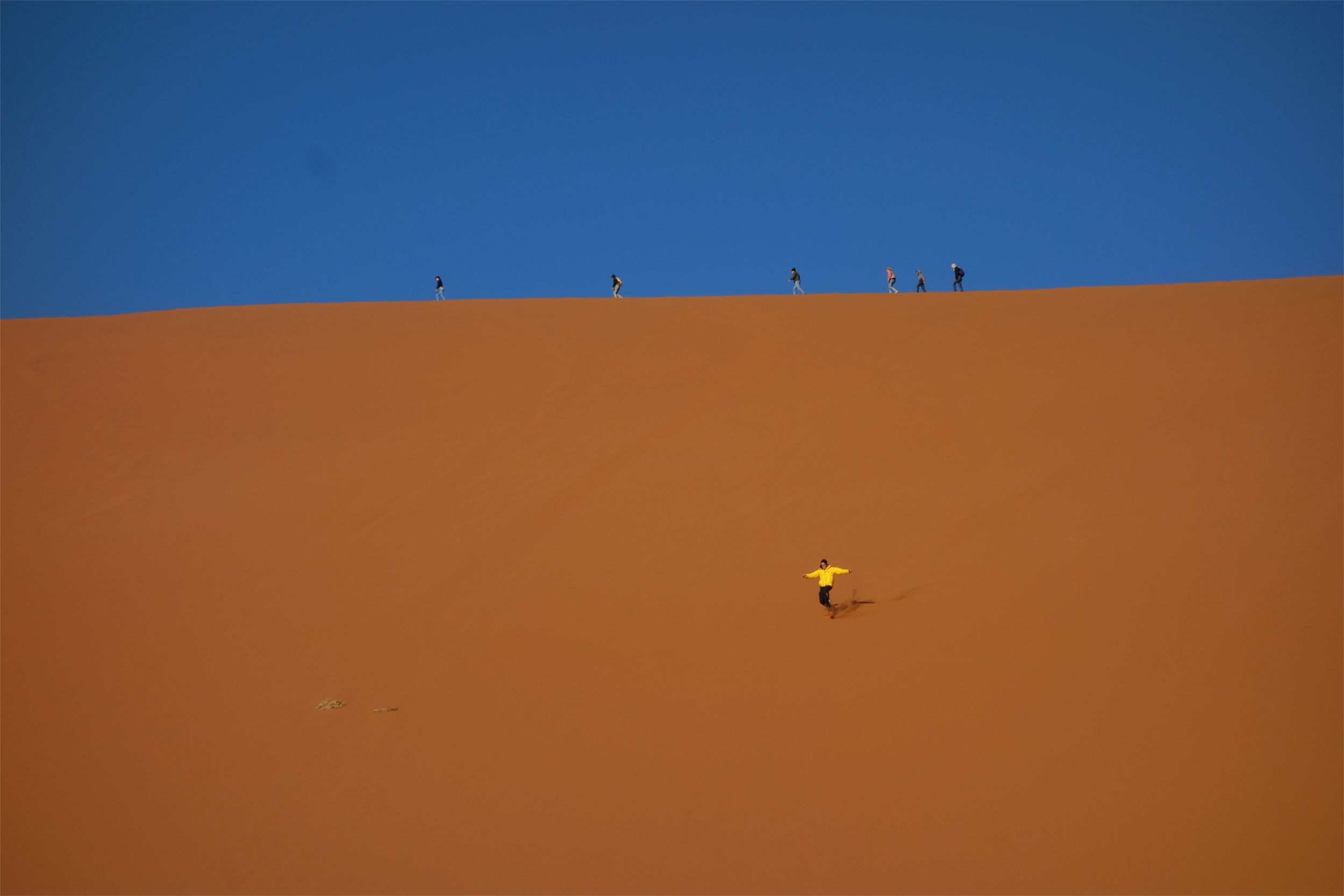 namib desert famiglia