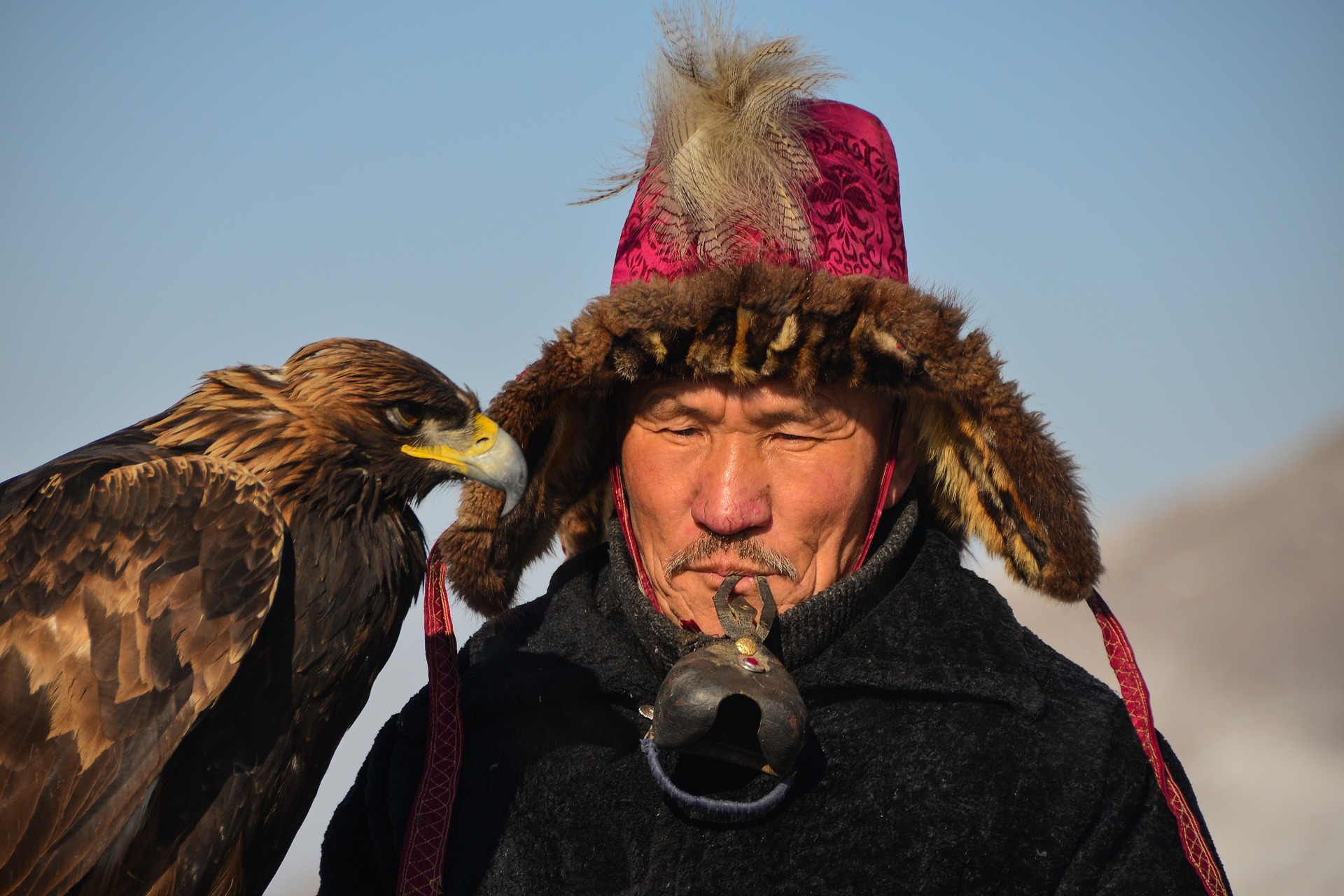 aquile mongolia