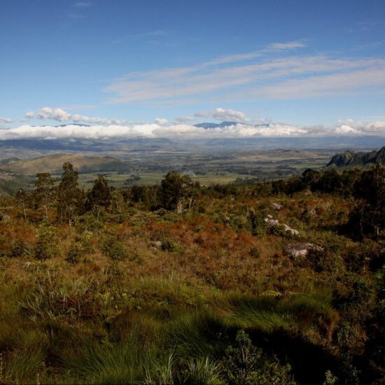 Valle Baliem