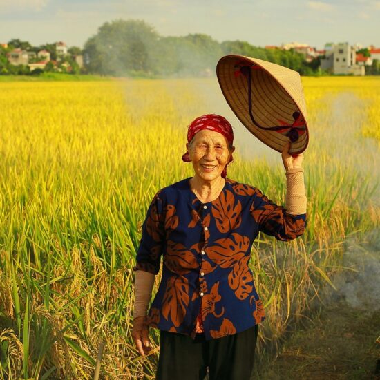 popolazione vietnam