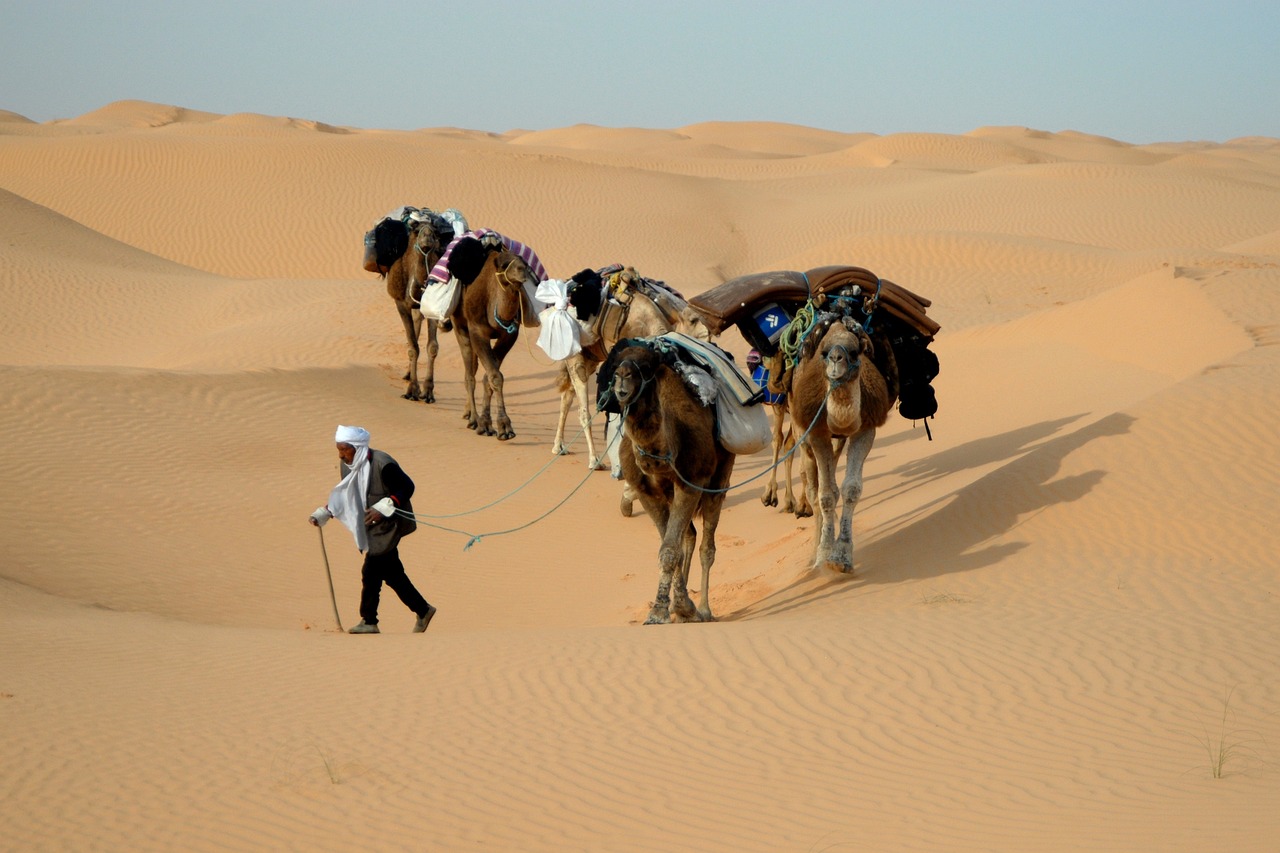 tunisia deserto