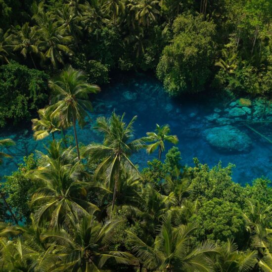 lago sulawesi