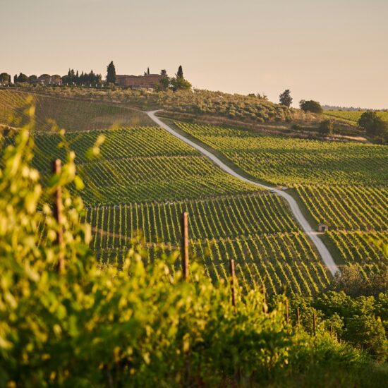 tuscan food