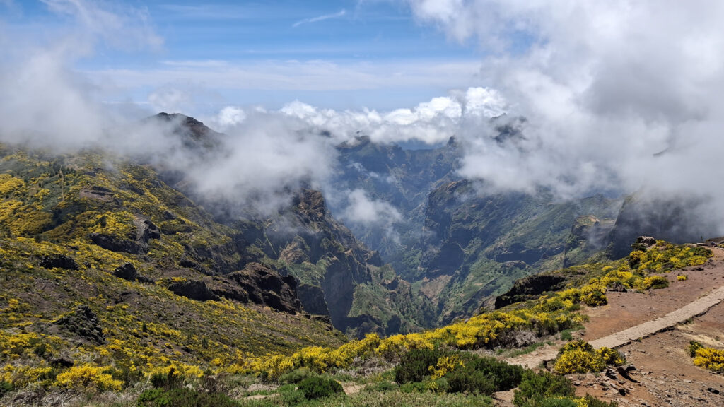 madeira